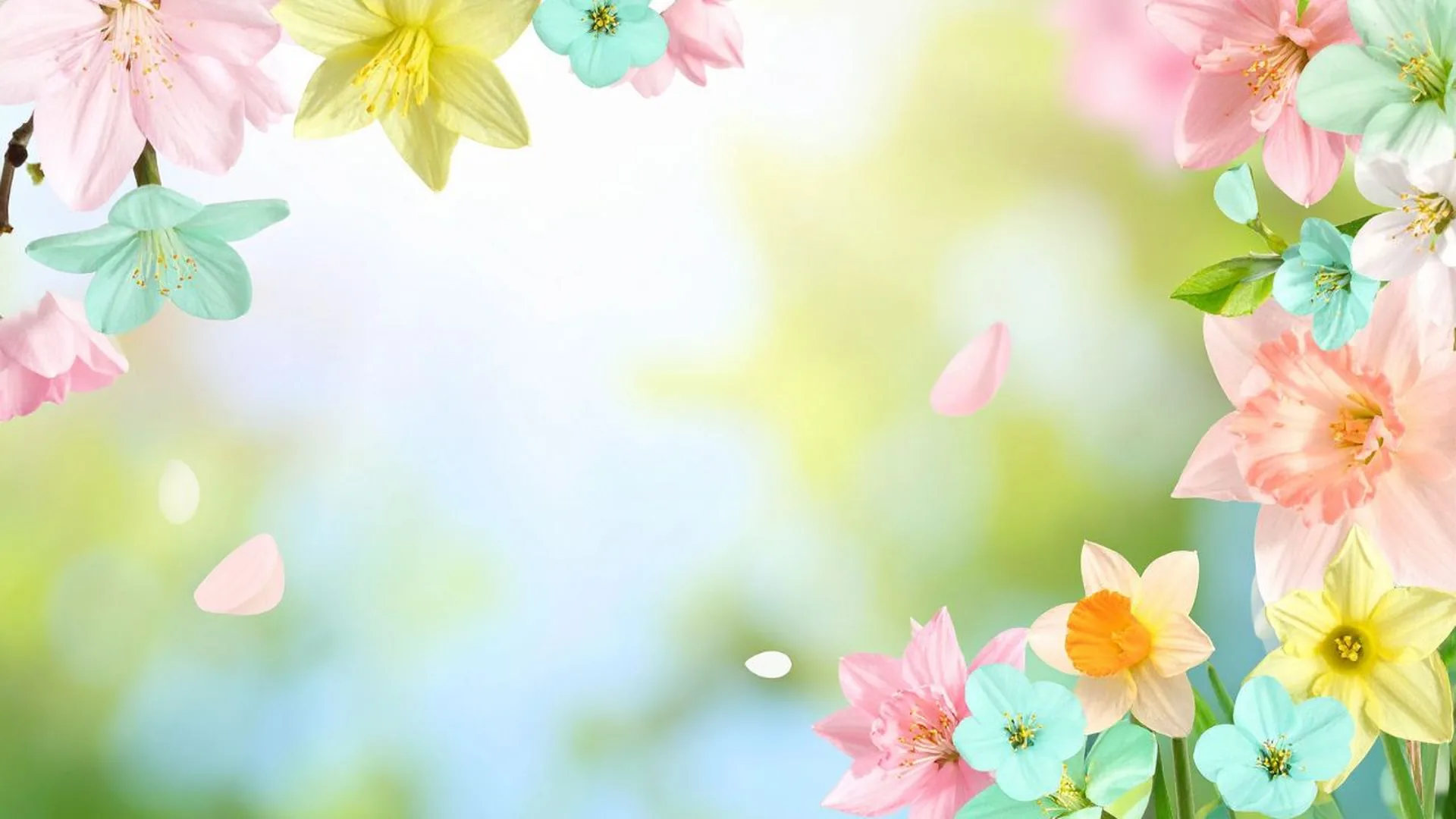 Primavera